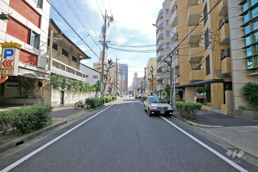 敷地北東側の前面道路（北西側から）