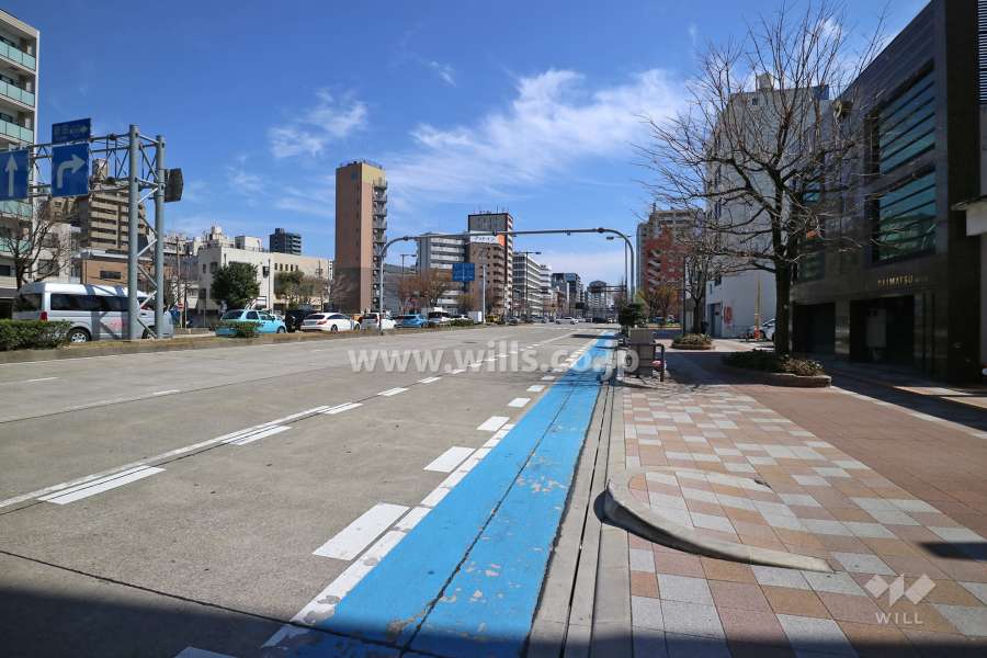 敷地北側の前面道路（西側から）桜通です。
