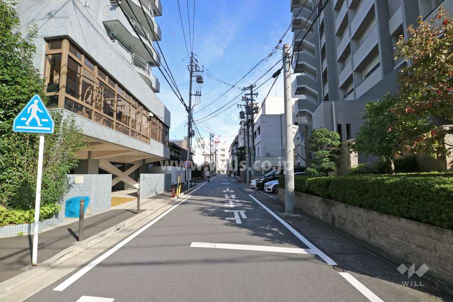 敷地北側の前面道路（西側から）