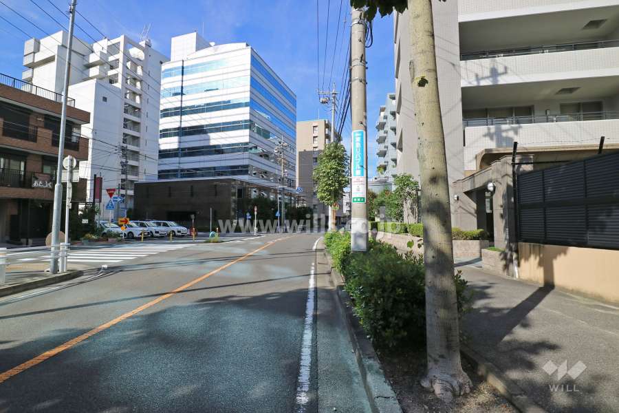 敷地西側の前面道路（南側から）