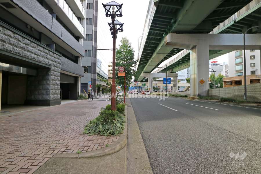 敷地西側の前面道路（北側から）
