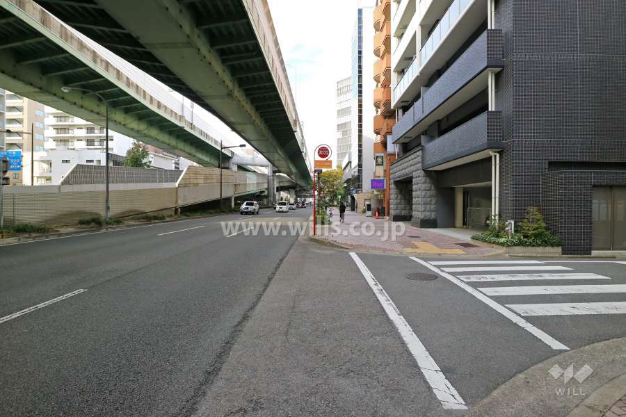 敷地西側の前面道路（南側から）