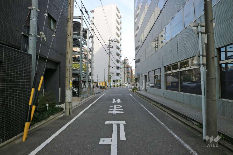 敷地南側の前面道路（西側から）