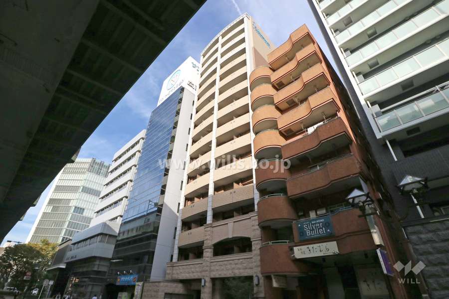 プレサンス桜通グレイスの外観（南西側から）