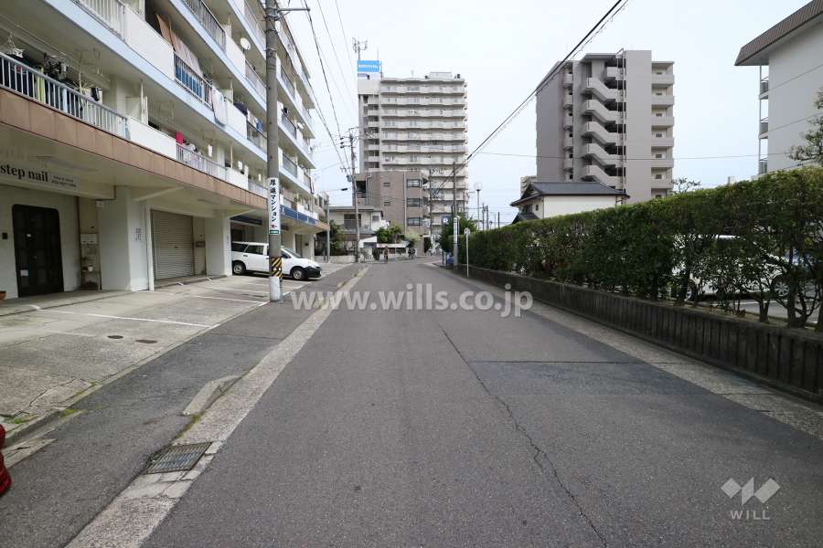 敷地北側の前面道路（西側から）