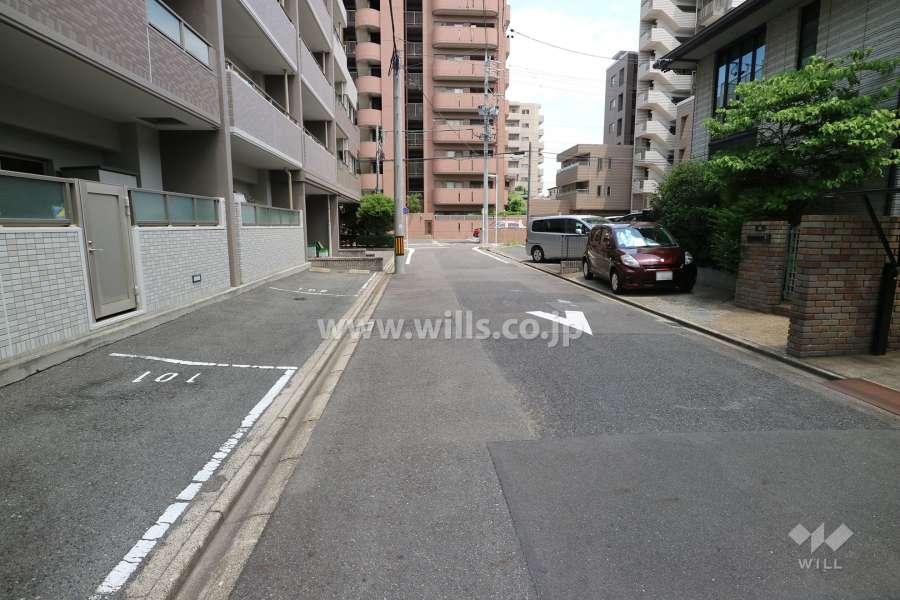 敷地南側の前面道路（西側から）