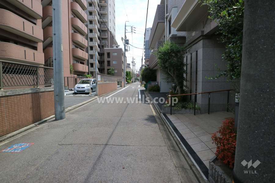 敷地東側の前面道路（北側から）