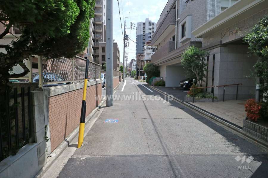 敷地西側の前面道路（北側から）