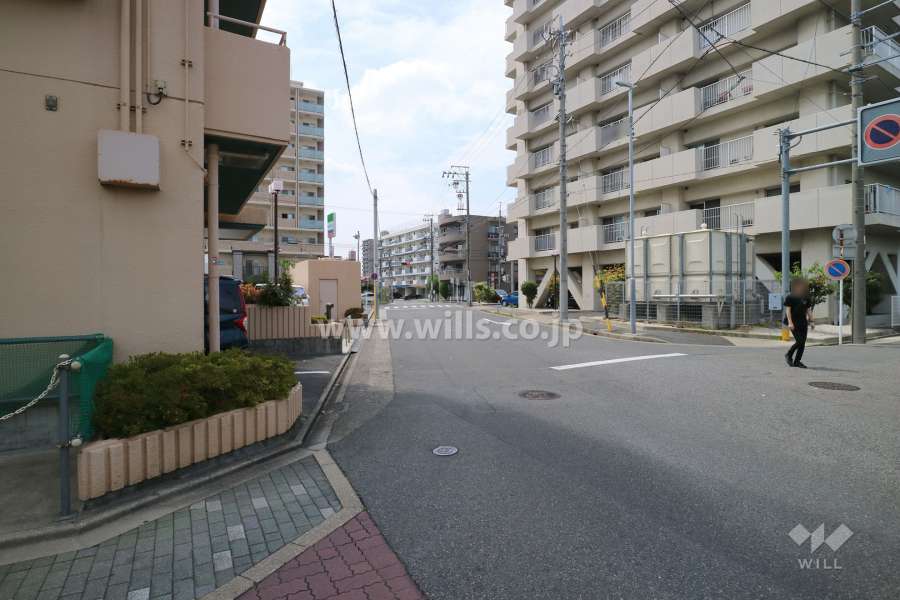 敷地北側の前面道路（東側から）