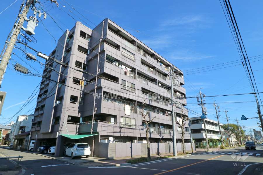 筒井ハイツ南館の外観（南西側から）
