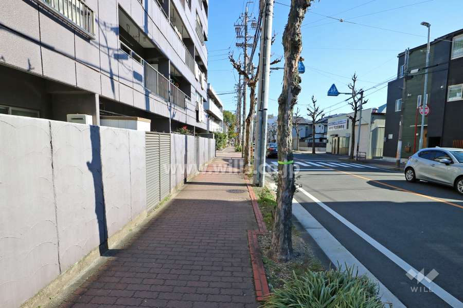 敷地南側の前面道路（西側から）