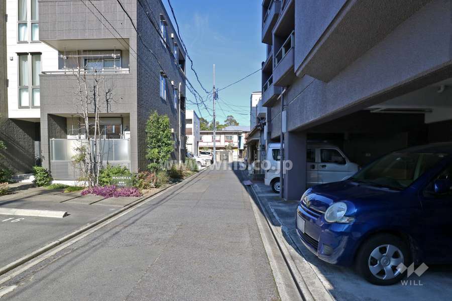 敷地の西側前面道路（南側から）