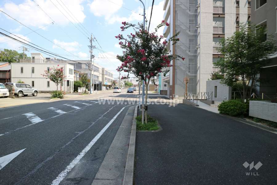 敷地北側の前面道路（西側から）