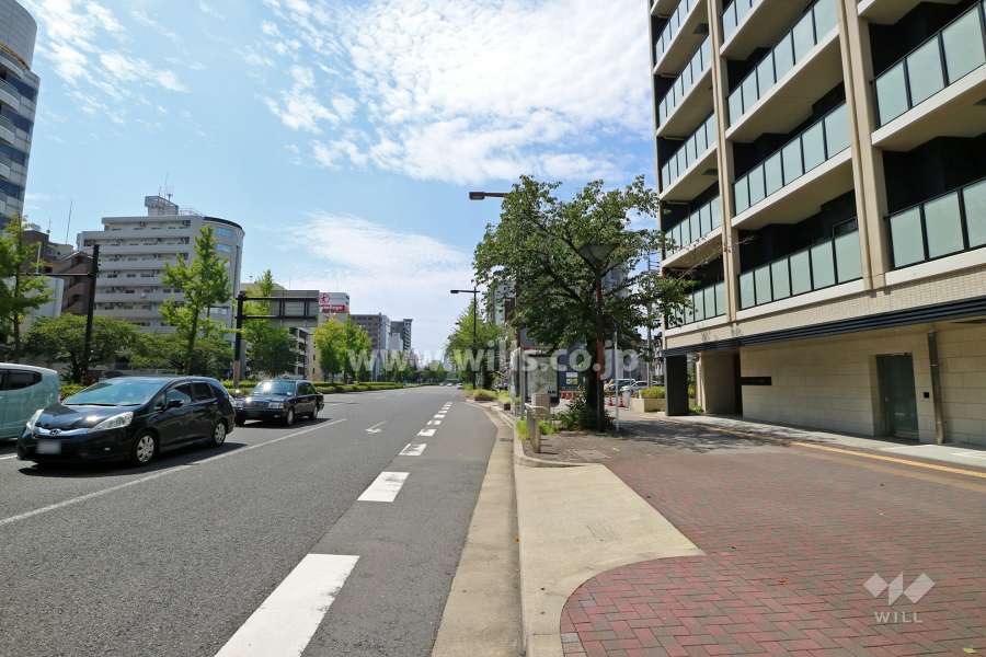 敷地南側の前面道路（東側から）