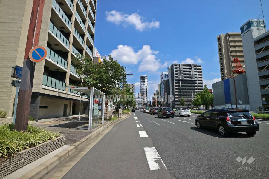 敷地南側の前面道路（西側から）