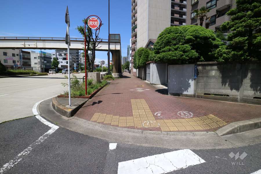 敷地の西側前面道路（東側から）