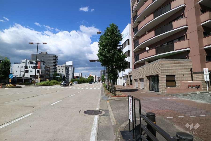敷地西側の前面道路（南側から）