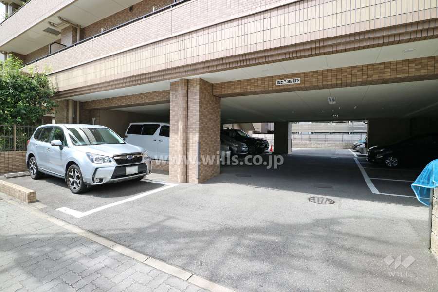 敷地内駐車場（屋外平面式・屋内平面式）