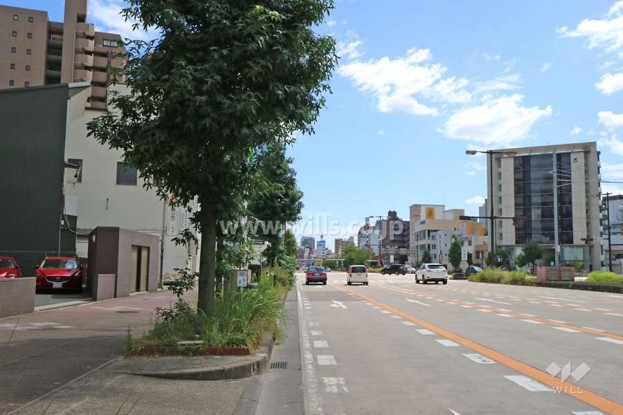 敷地西側の前面道路（北側から）