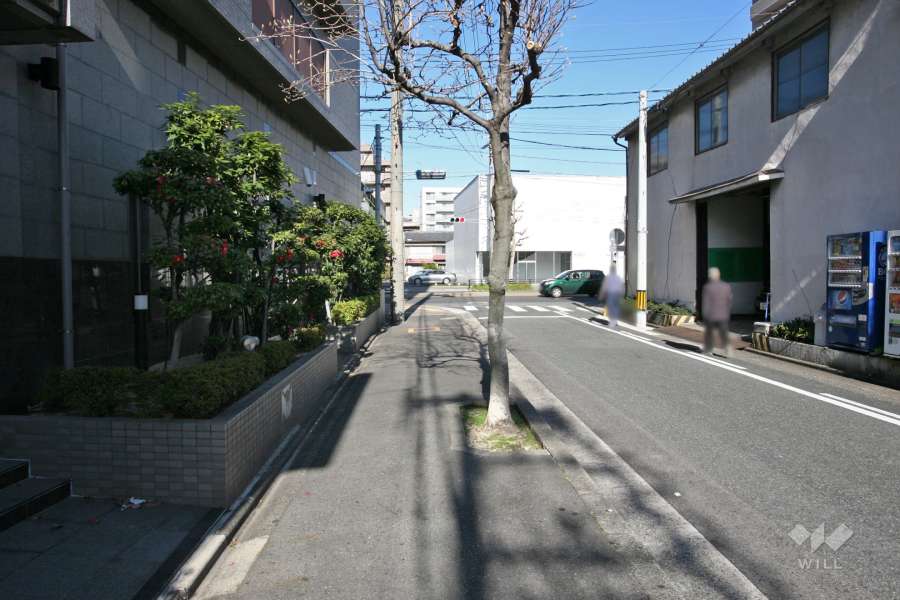 敷地東側の前面道路（南側から）