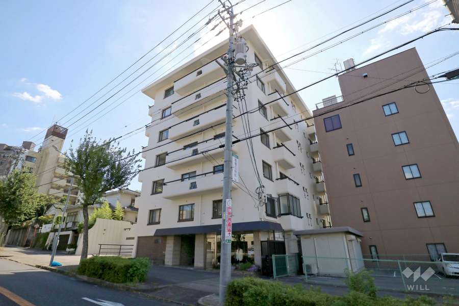 マンション徳川苑の外観（北東側から）