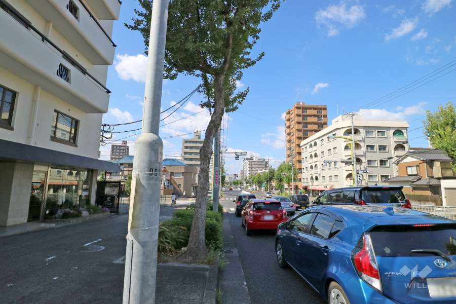 敷地東側の前面道路（南側から）