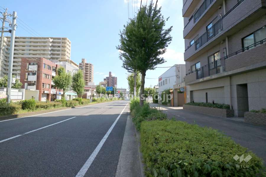 敷地東側の前面道路（北側から）