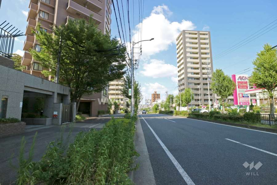 敷地東側の前面道路（南側から）