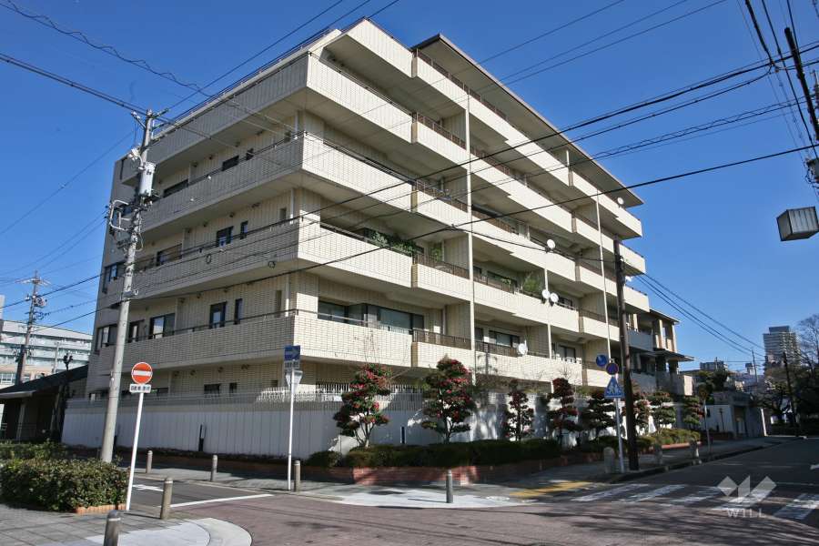 徳川町スカイマンションの外観（南西側から）