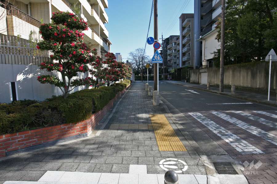 敷地南側の前面道路（西側から）