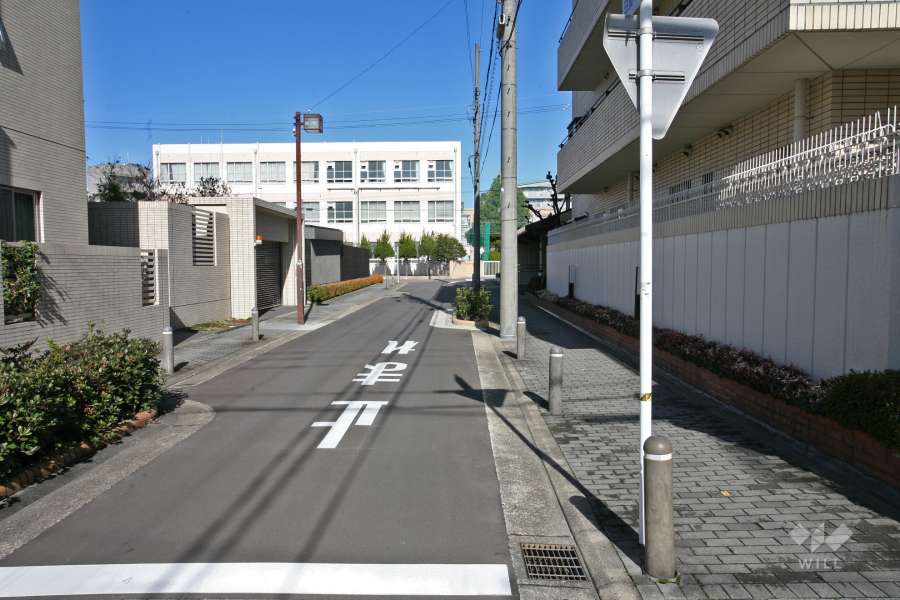 敷地西側の前面道路（南側から）