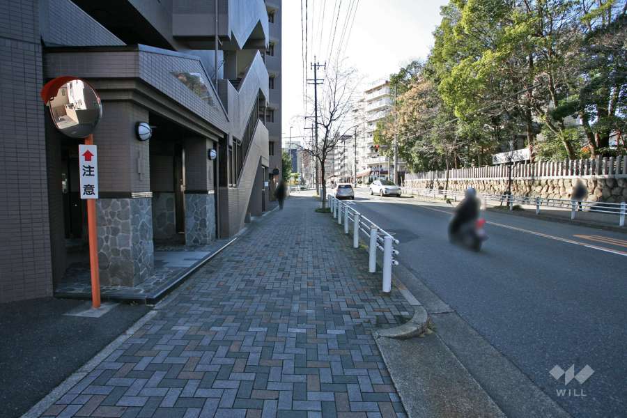 敷地北西側の前面道路（北東側から）