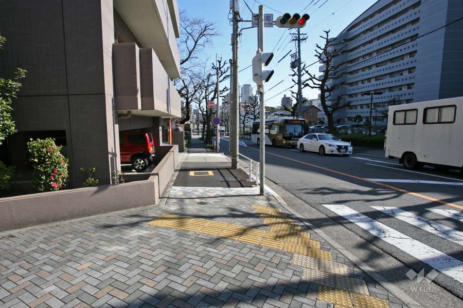 敷地南側の前面道路（西側から）