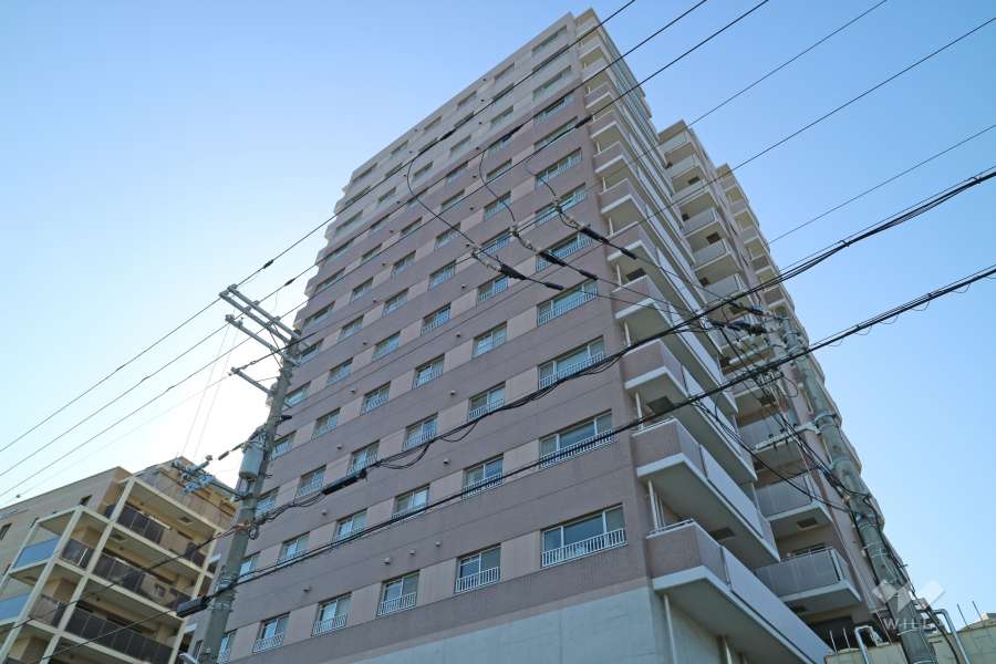 メゾンドール仁川の外観（北西側から）