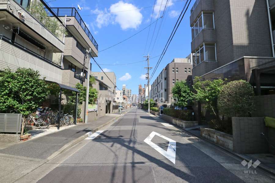 敷地北側の前面道路（西側から）