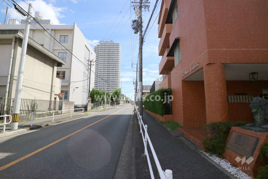 敷地東側の前面道路（北側から）