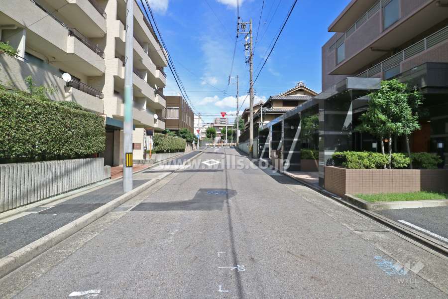 敷地南側の前面道路（西側から）