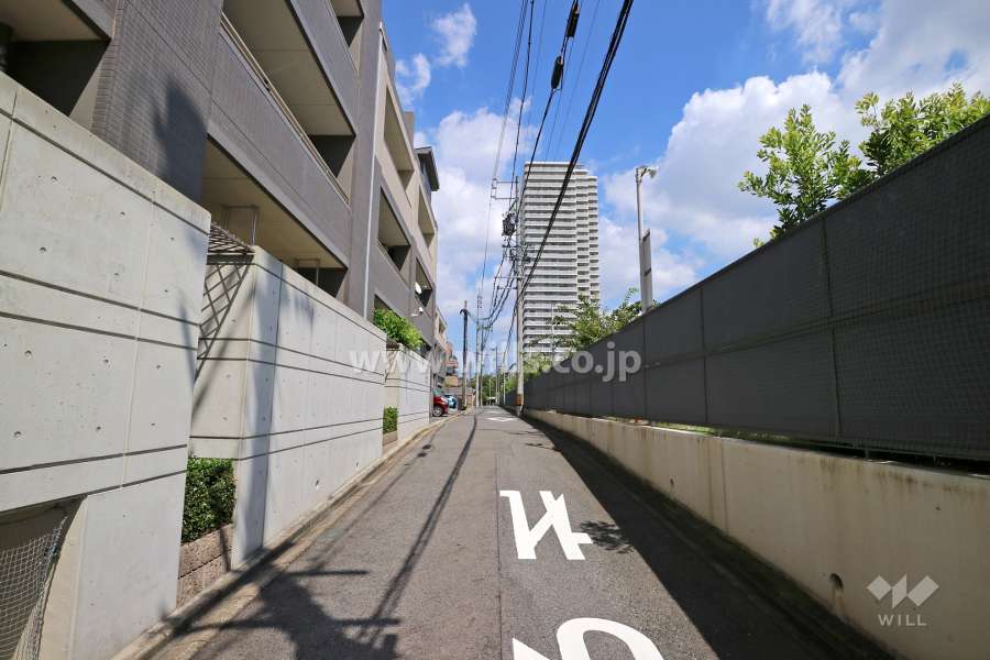 敷地南側の前面道路（西側から）