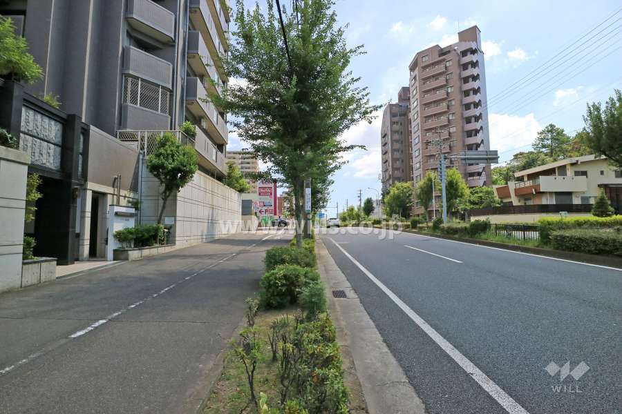 敷地西側の前面道路（北側から）