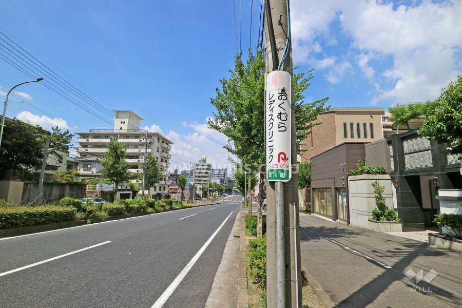 敷地西側の前面道路（南側から）
