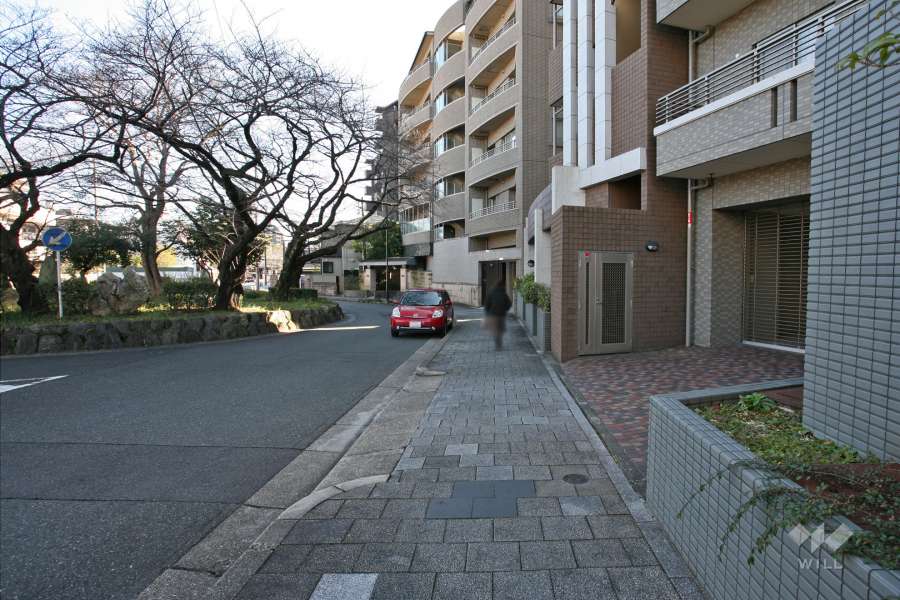 敷地北側の前面道路（西側から）