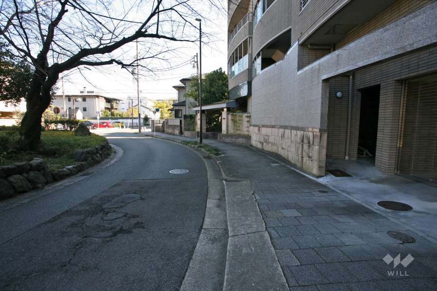 敷地北側の前面道路（西側から）