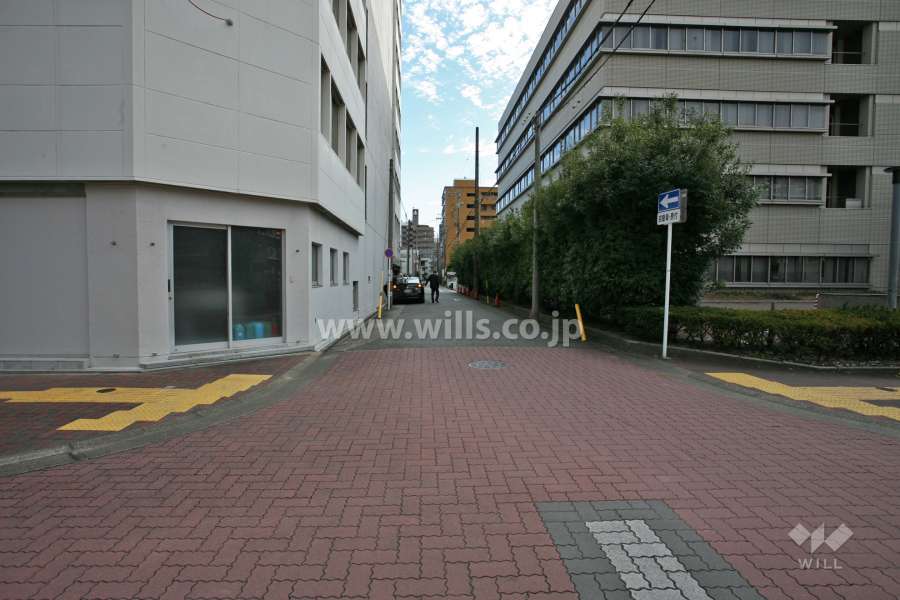 敷地西側の前面道路(北側から)