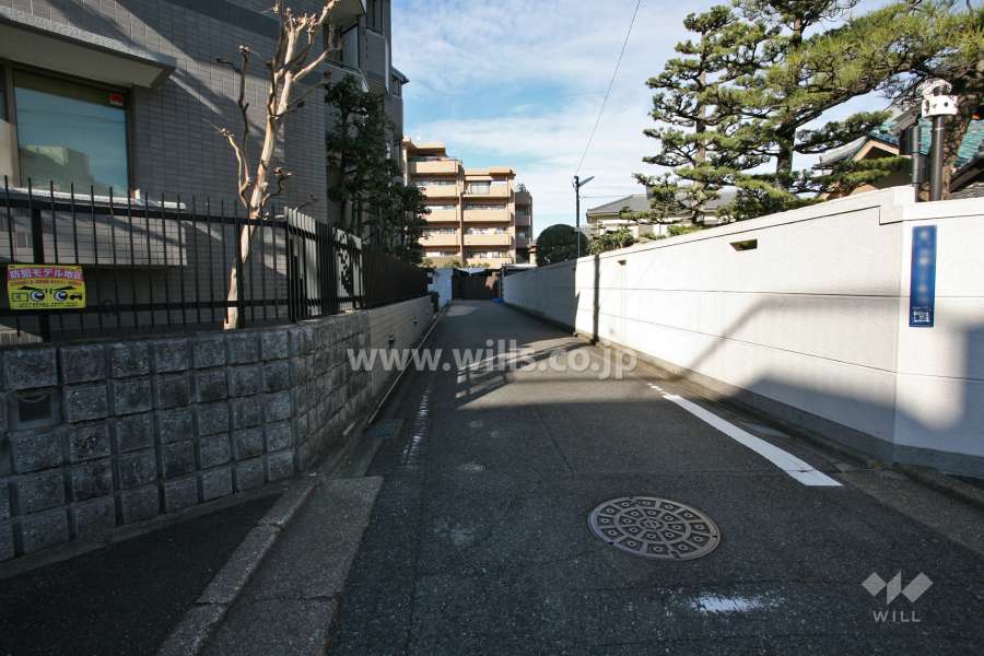 敷地東側の前面道路(南側から)