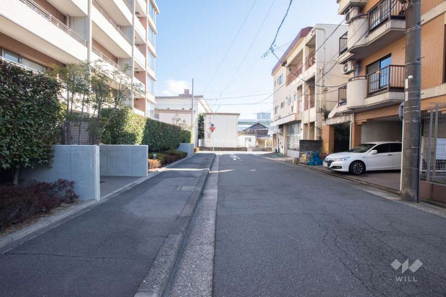 敷地南側の前面道路（西側から）