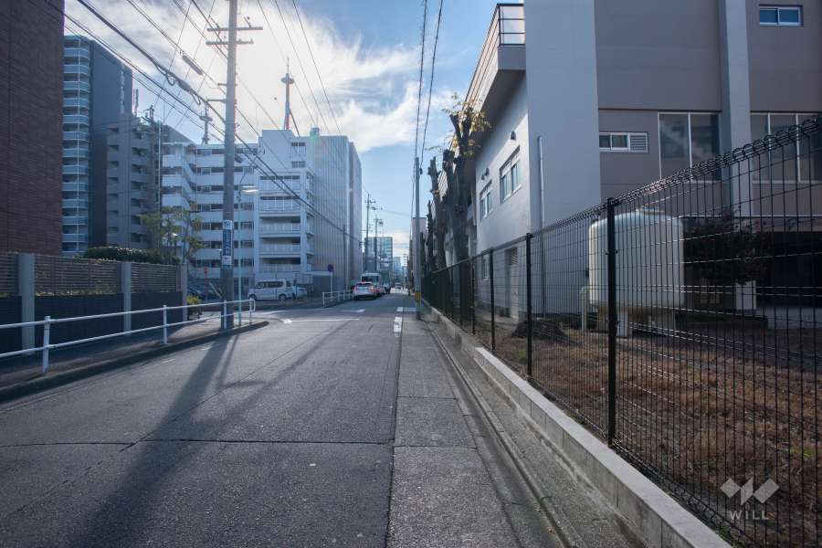 敷地西側の前面道路（北側から）