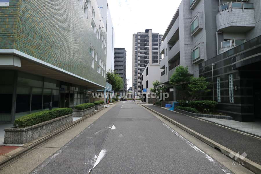 敷地東側の前面道路（北側から）
