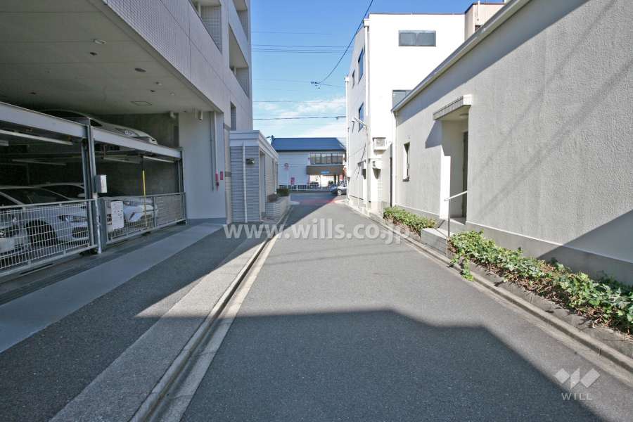 敷地東側の前面道路(南側から)