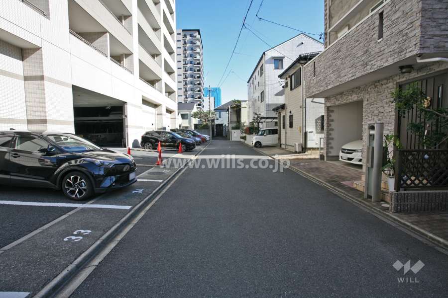 敷地南側の前面道路(西側から)