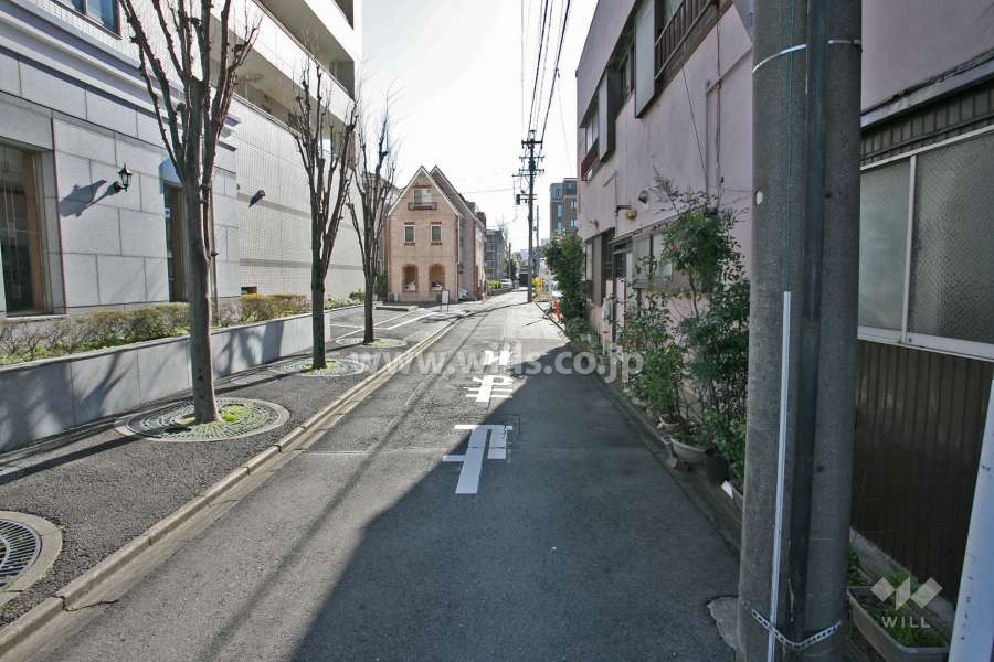 敷地西側の前面道路(北側から)